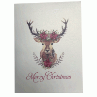 pop-up rendier gewei kaart